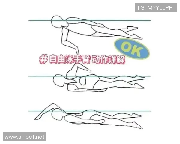 掌握自由泳技巧 从入门到精通的全面训练课程解析 掌握自由泳技巧 从入门到精通的全面训练课程解析