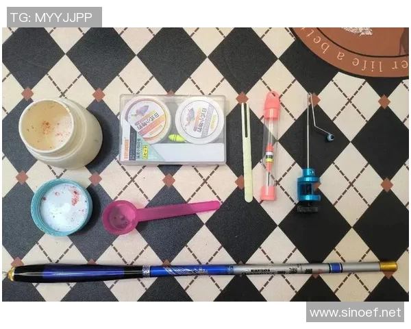 渔具的选择与使用技巧全解析,提升钓鱼体验的必备装备指南 渔具的选择与使用技巧全解析,提升钓鱼体验的必备装备指南