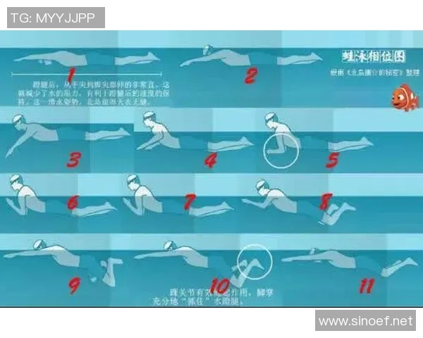 蛙泳技巧全面提升训练法从基础动作到高效呼吸的逐步解析