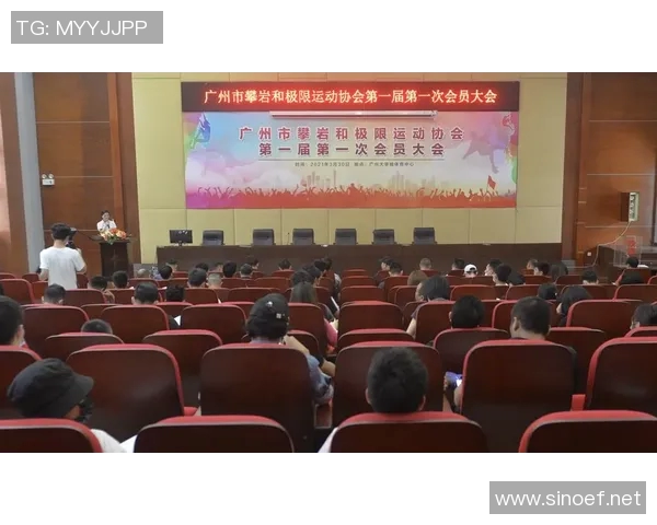 广州极限运动队的控制与发展趋势分析及其在极限运动热点中的影响