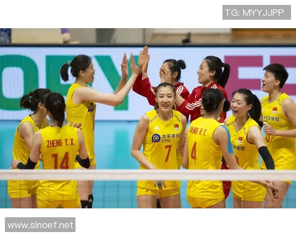 成都排球队精英赛精彩配合分析与表现评估 成都排球队精英赛精彩配合分析与表现评估