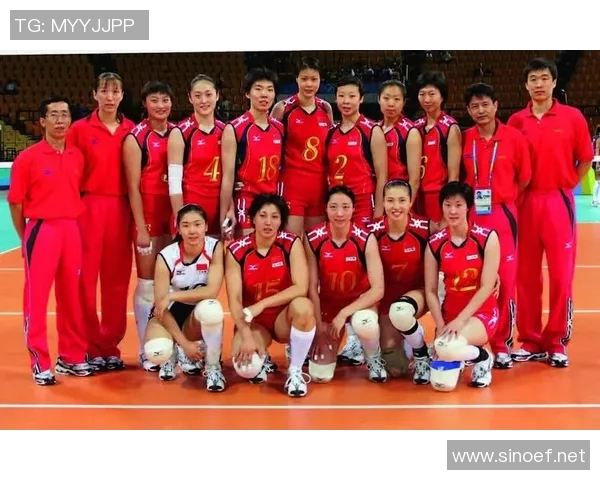 广州排球队在世界杯预选赛中的拼搏历程与荣耀追寻