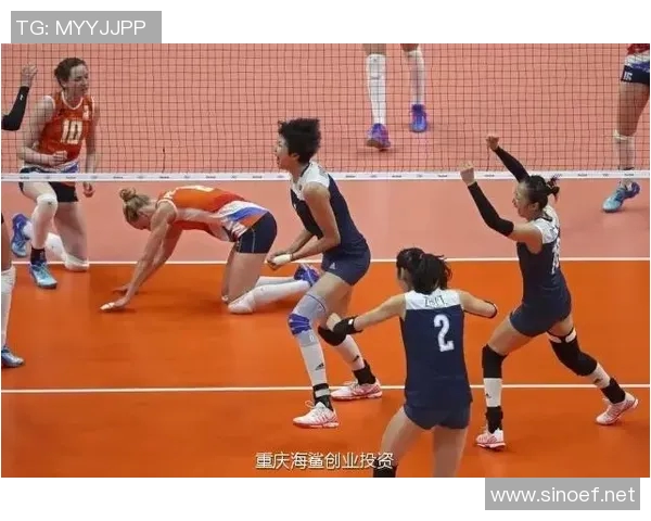 武汉排球队的拼搏之路：一段不屈不挠的排球奋斗史