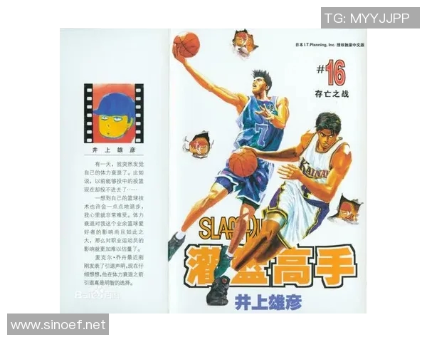 从零起步到篮球高手的全面训练与技巧提升指南