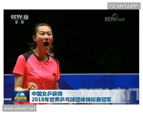 北京乒乓球队在世界锦标赛中的蜕变与未来发展探索之路