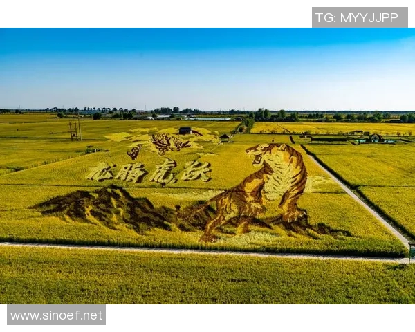 杭州攀岩队荣登全国攀岩团队协作排行榜第三名展现团队精神与实力 杭州攀岩队荣登全国攀岩团队协作排行榜第三名展现团队精神与实力