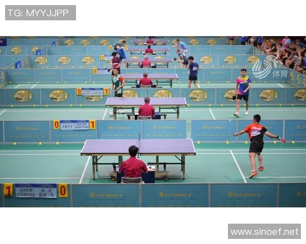 深圳乒乓球队实力揭秘：乒乓球巨献背后的故事与成就