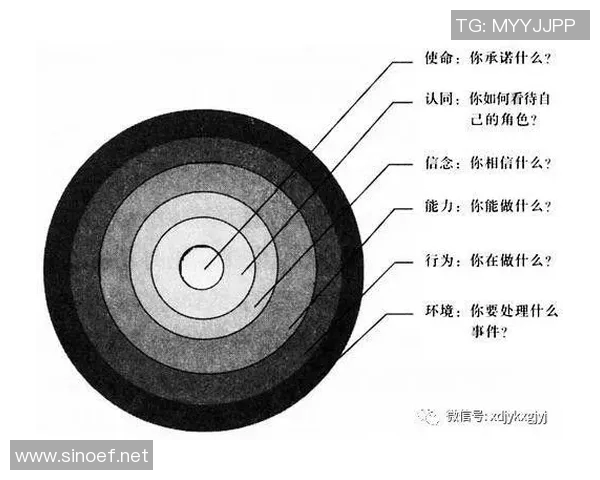基于个人兴趣与技能提升的全方位自主项目实践与探索路径分析 基于个人兴趣与技能提升的全方位自主项目实践与探索路径分析