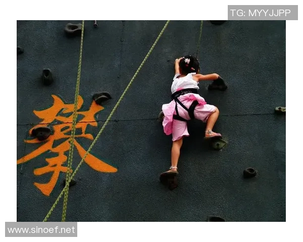 攀岩精神：探索上海攀岩队员的个人能力与成长之路