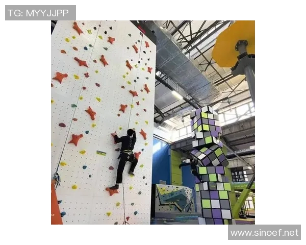 武汉攀岩队个人能力提升之路探索与实践分享