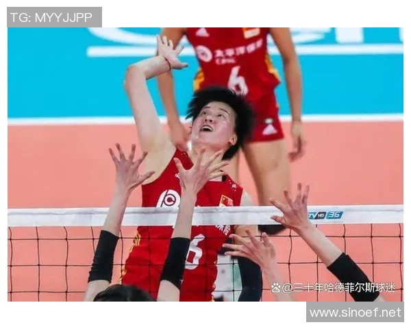 深圳排球队状态变革引发热议球迷期待新篇章的崛起与挑战