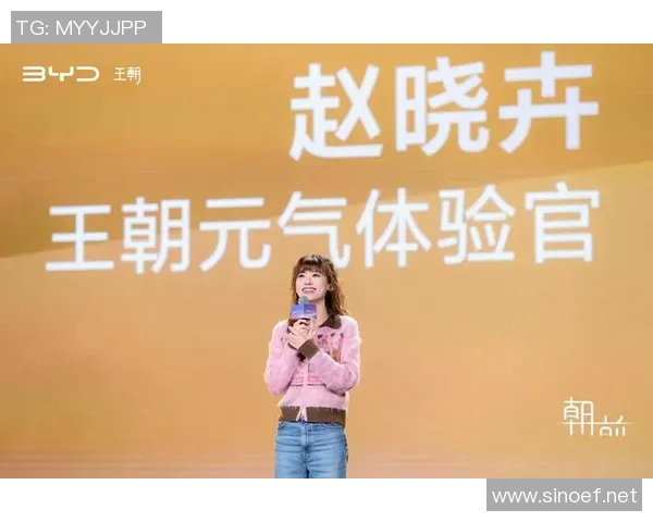 深度对话陈静排球人生的奋斗与梦想之路