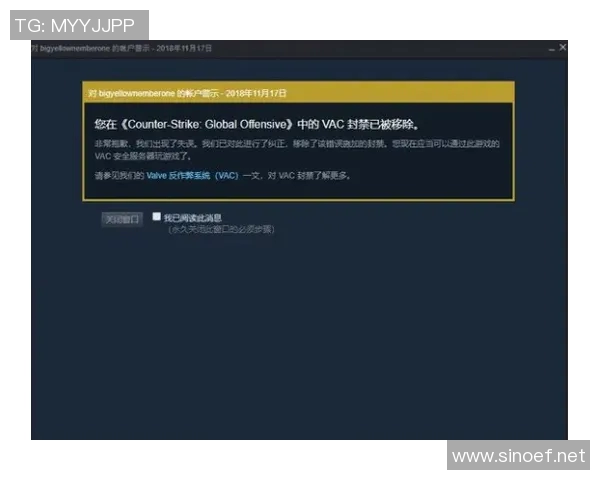 CSGO巨献：深入分析WE战队在比赛中的心理素质与应对策略