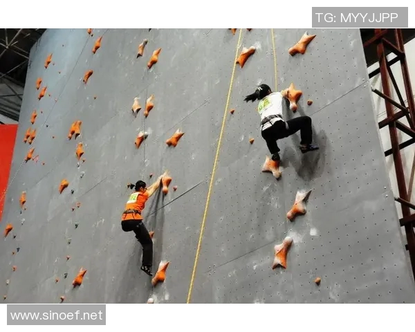 武汉攀岩队运营模式创新探索与发展路径分析