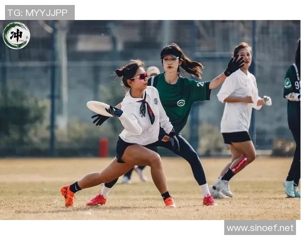 飞盘节奏排行榜发布武汉飞盘队荣登第六名展现实力与风采