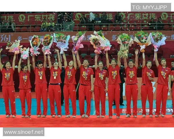 北京排球队的团队协作研究与实践探索之路