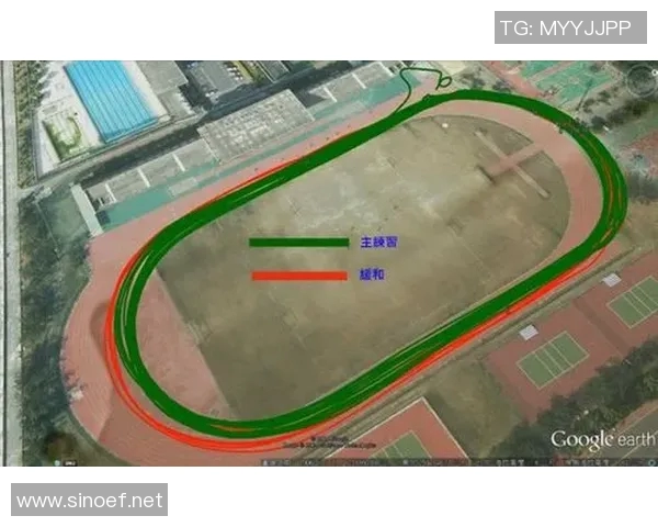 运动员心率变化与运动表现关系的研究与分析