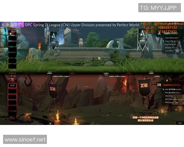 RNG在DOTA2比赛中的区域防守策略分析与成效评估