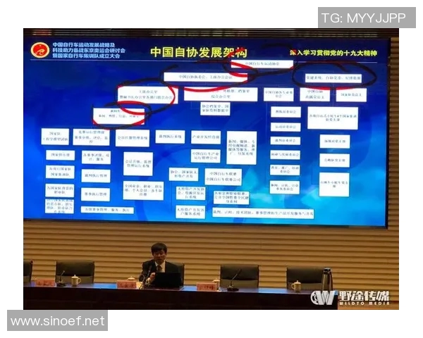 重庆网球队如何通过比赛经验变革提升竞技水平与团队协作能力 重庆网球队如何通过比赛经验变革提升竞技水平与团队协作能力