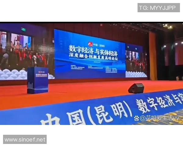 南京羽毛球队与深圳羽毛球队赛后复盘分析意识对抗与战术执行的深度探讨