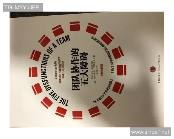 上海排球队的团队协作精神与战术配合探讨